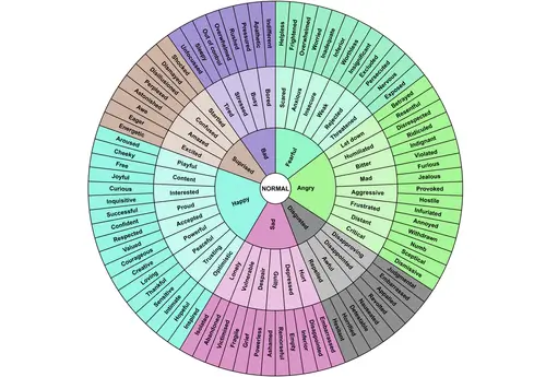 The feelings wheel is a tool that can help people identify and understand their emotions.