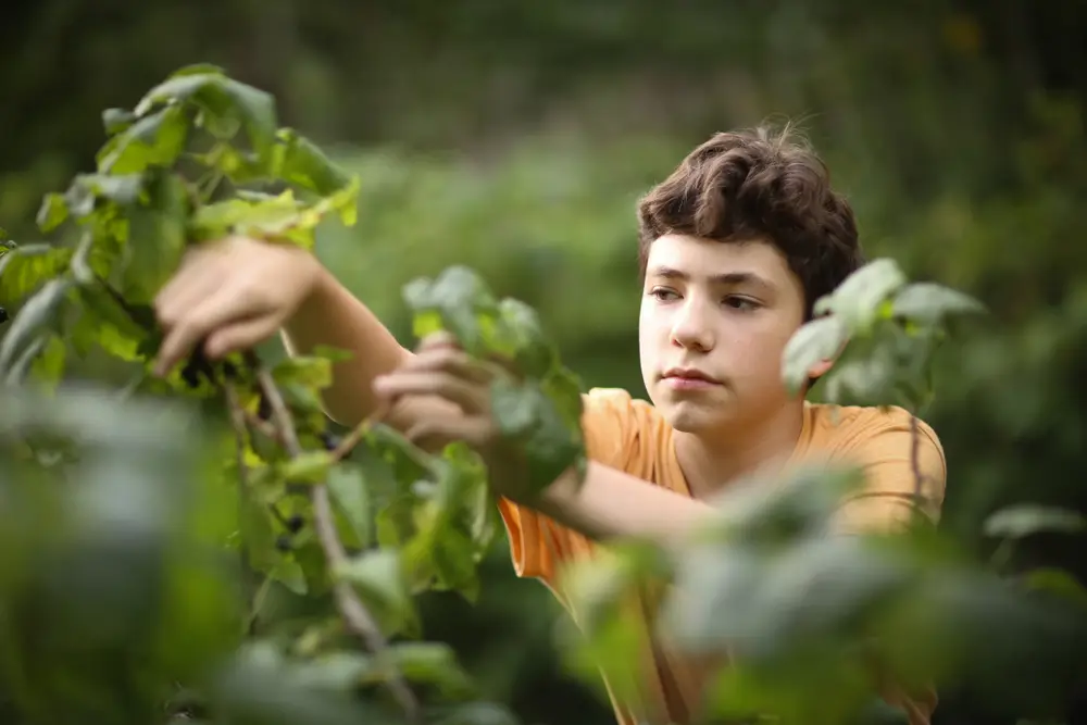 Outdoor jobs can provide fresh air and space to teens with social anxiety.